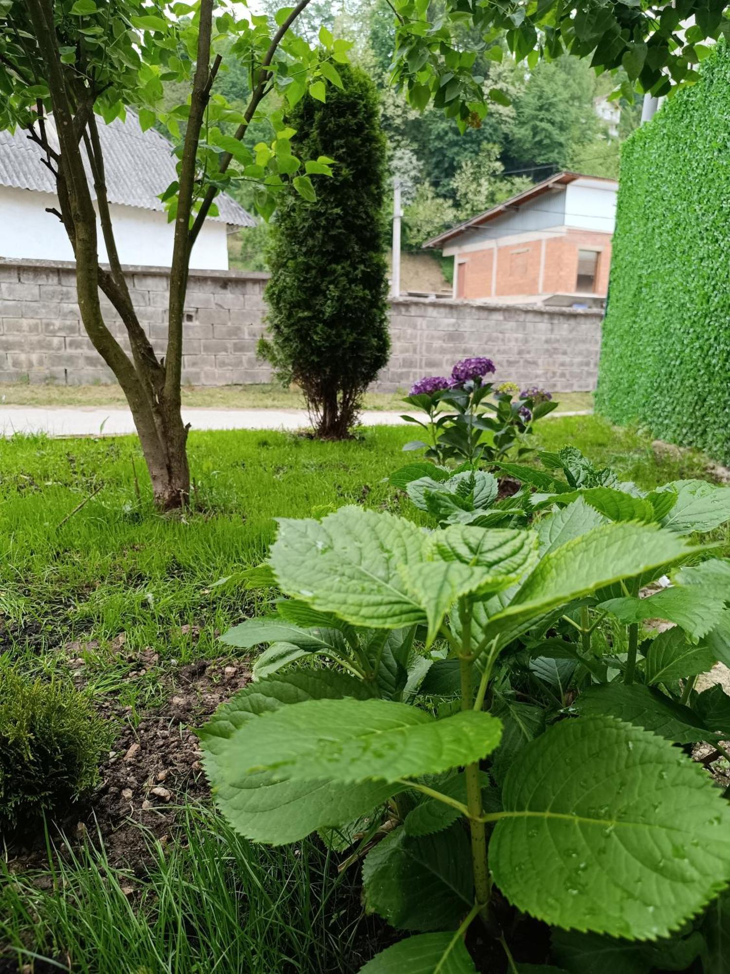 Kuca Za Odmor Majka Villa Fojnica